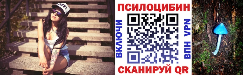 Псилоцибиновые грибы мицелий  продажа наркотиков  Верхний Тагил 